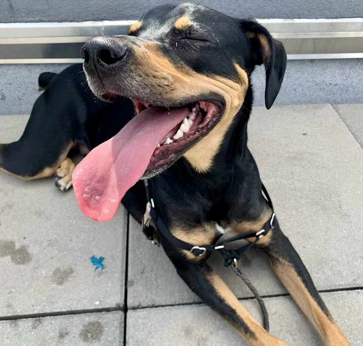 Oscar *courtesy post*