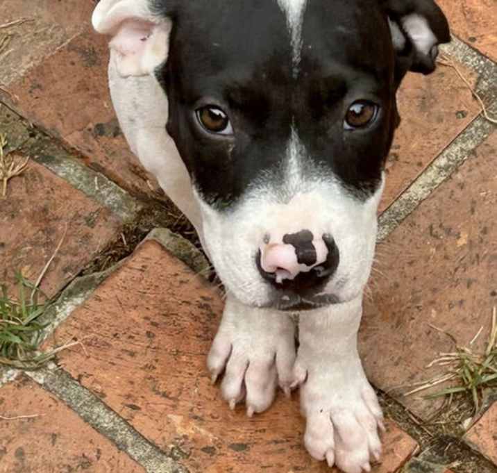 Photo of 251418  Baby Boy