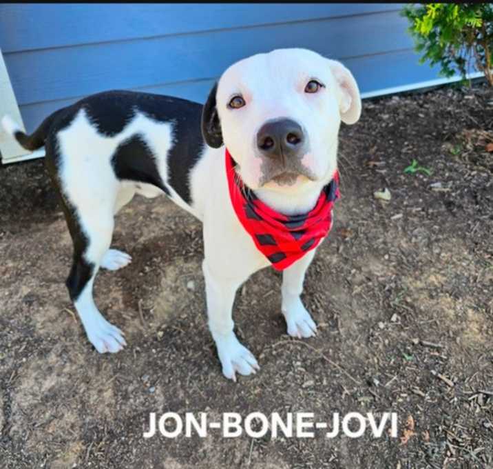 Photo of Jon Bone Jovi