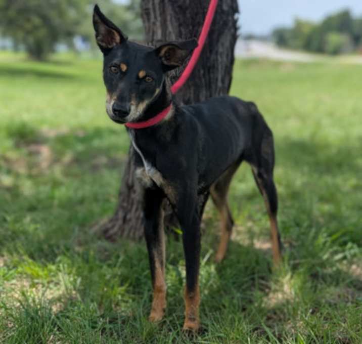 Photo of TRACIE FOSTER