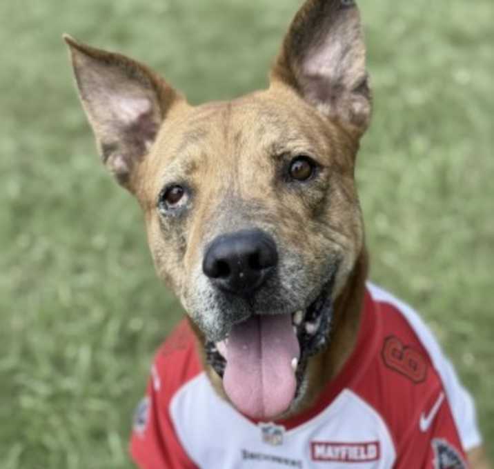 Photo of BARKER MAYFIELD