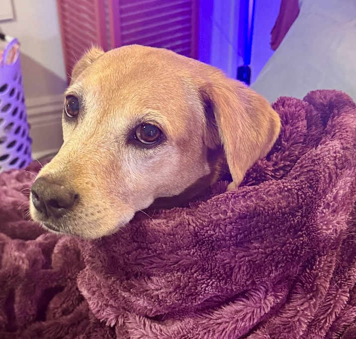 Photo of Cyclone #6783