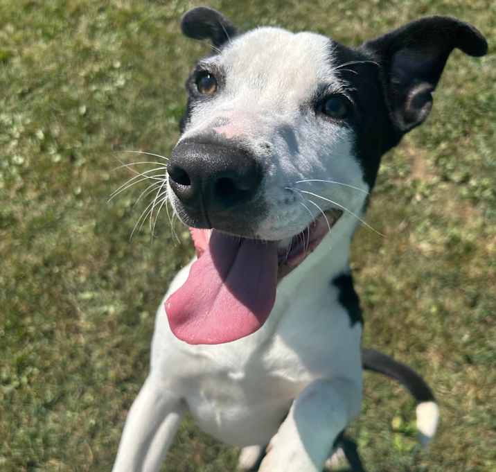 Photo of Benson Boone