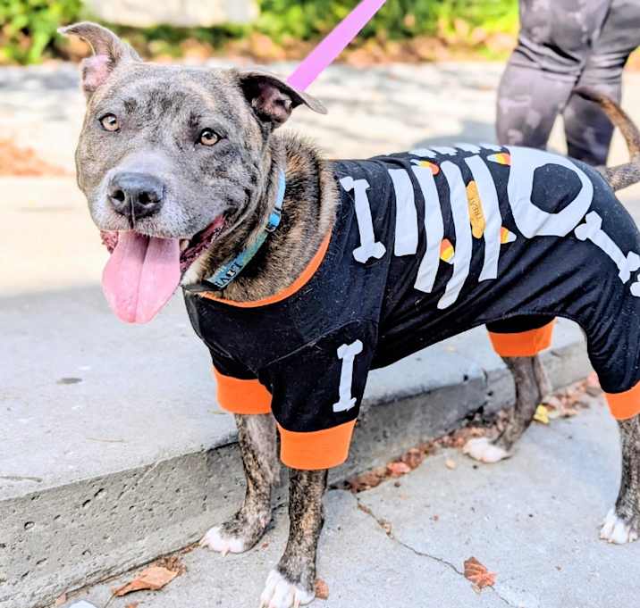 Photo of Tess Coleman 