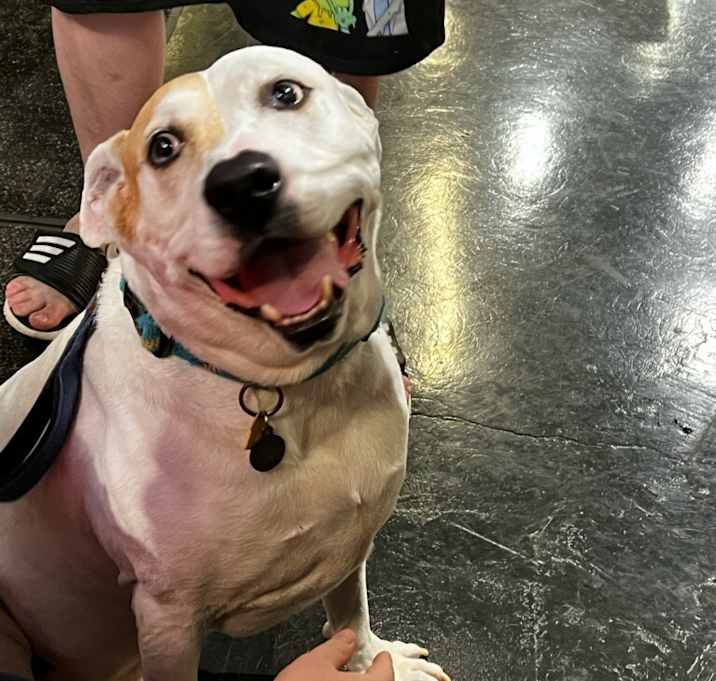 Photo of Harvey Dent