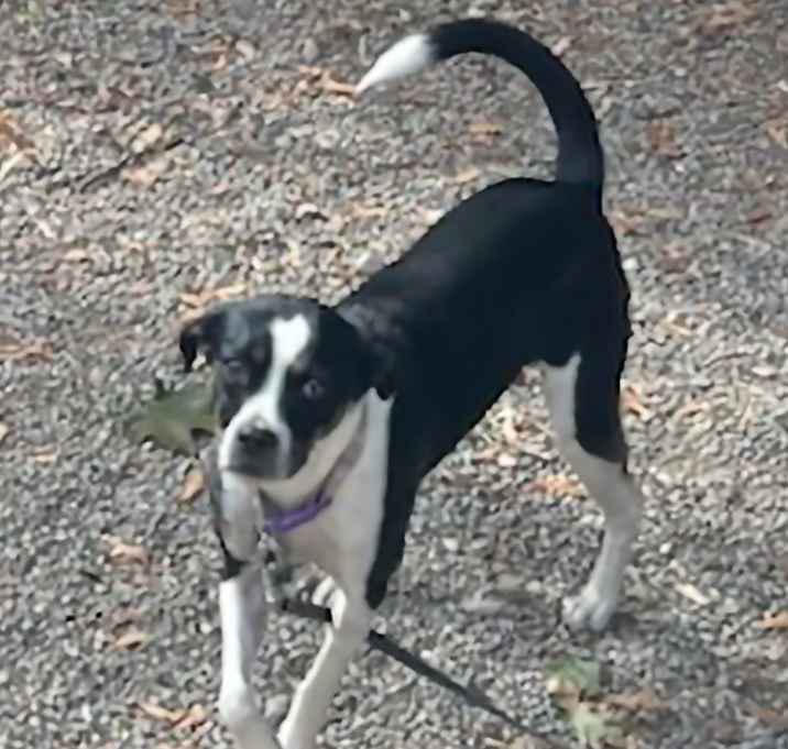 Photo of Lilly-Foster me?