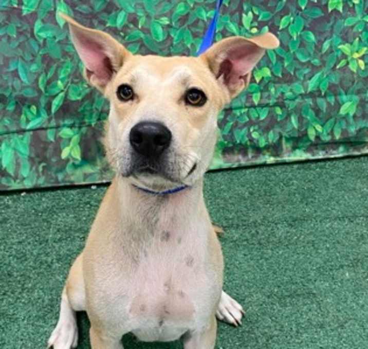 Photo of Jill K42 10/23/25