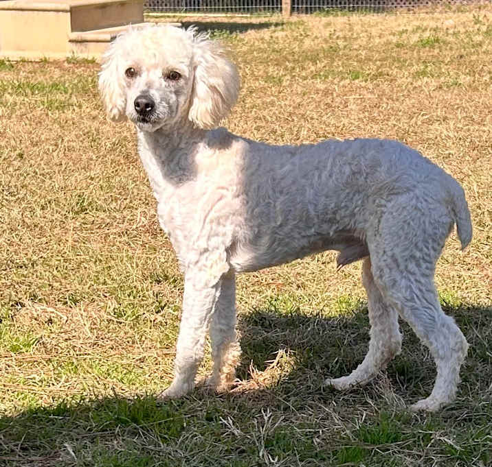 Photo of Buddy White
