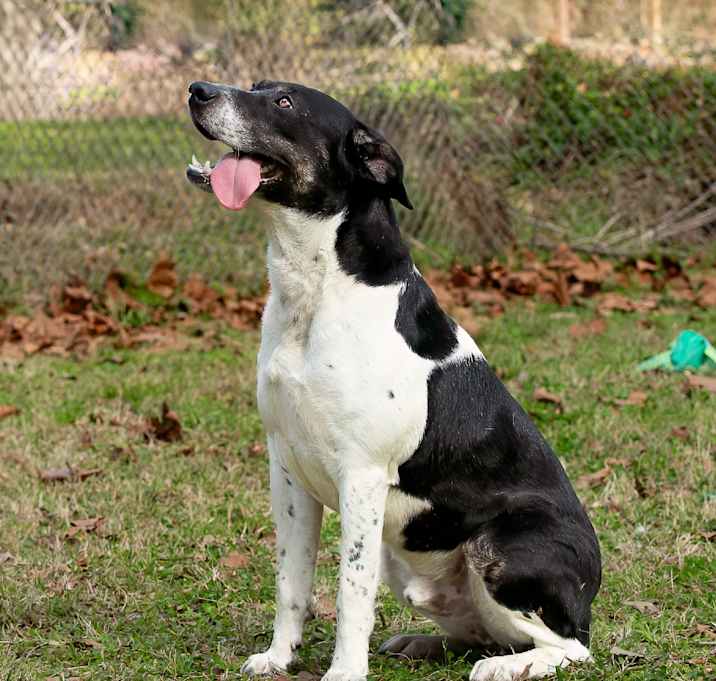 Photo of Rocky Balbone