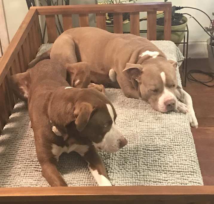 Photo of Dyno Mitey and Handsome Man