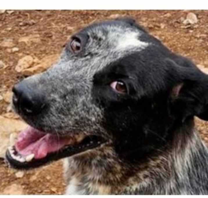 Photo of June (Lebanon) nt