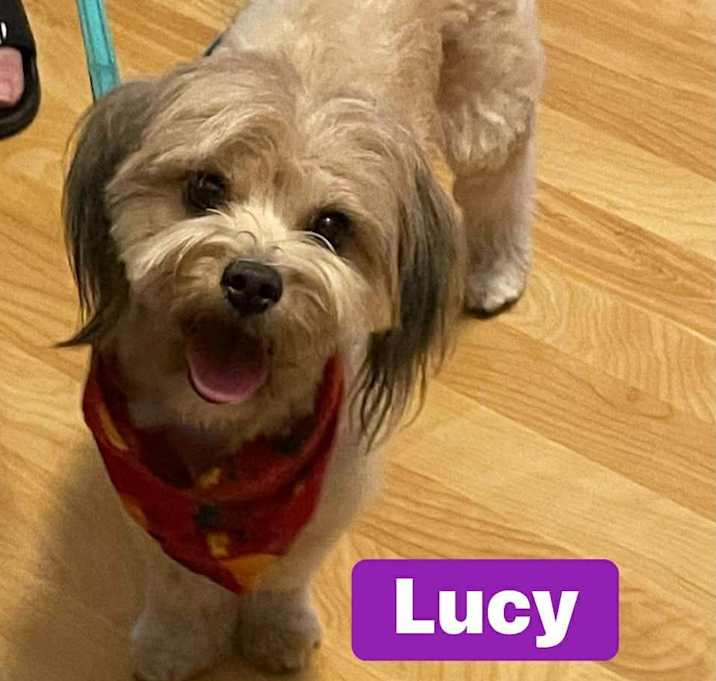 Photo of Lucy