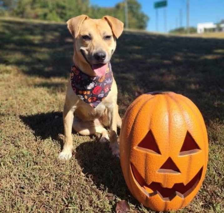 Photo of Stacey - CCHS