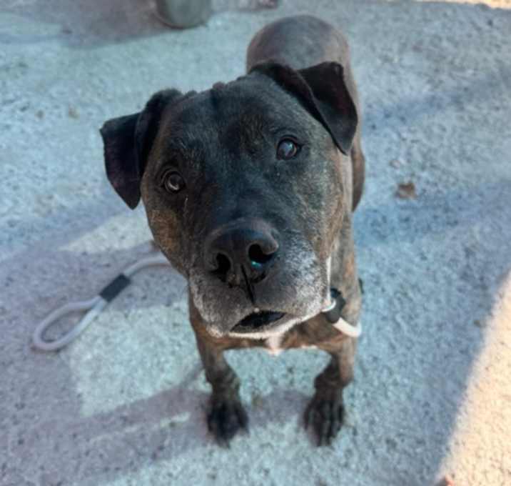 Photo of Dean Winchester