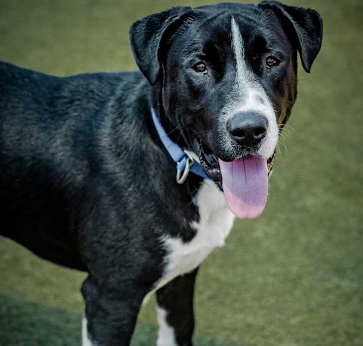 Photo of Alvee A2200707