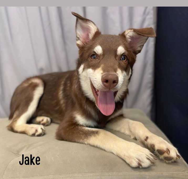 Photo of Jake