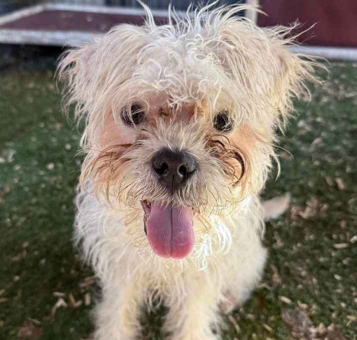 Photo of Motorbreath