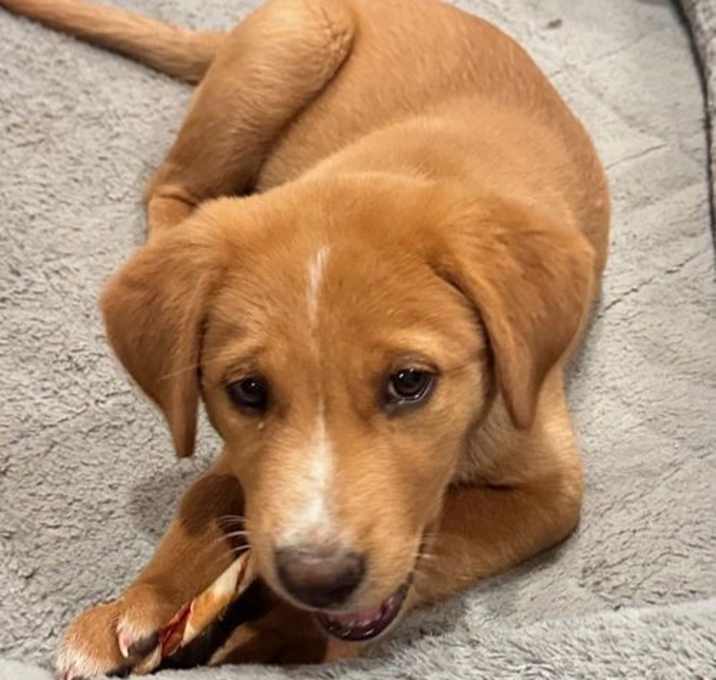 Photo of Jackie (FTF Only)