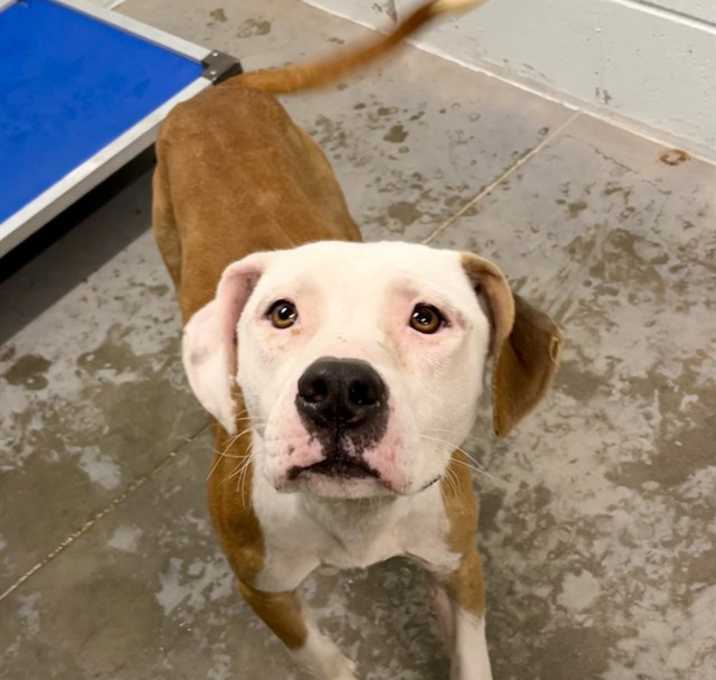 Photo of LAFFY TAFFY