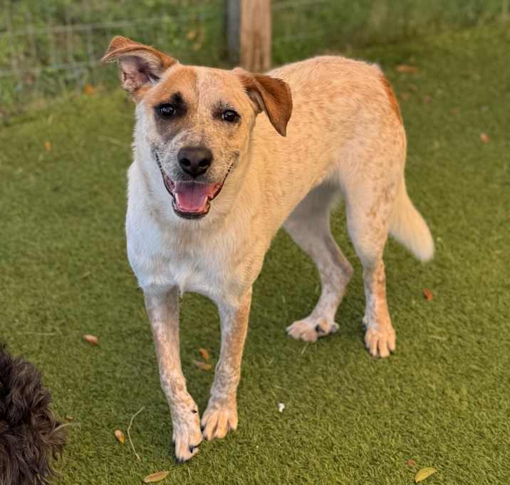 Photo of Maggie 9471