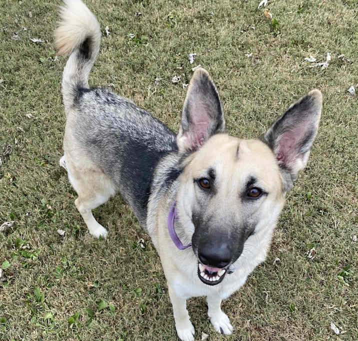 Photo of Maylene (CAT FRIENDLY!!)