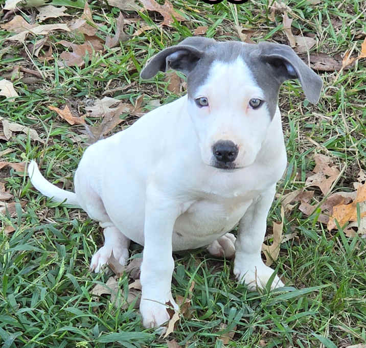 Photo of Maggie *Waived Fee Option