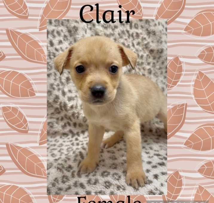 Photo of Clair meet me 11/15