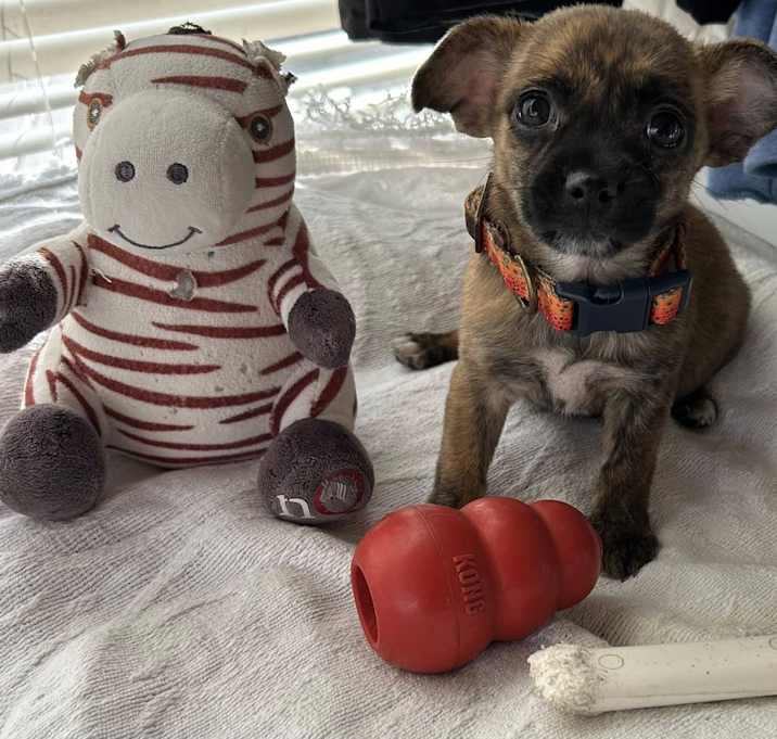 Photo of Baby Whitney