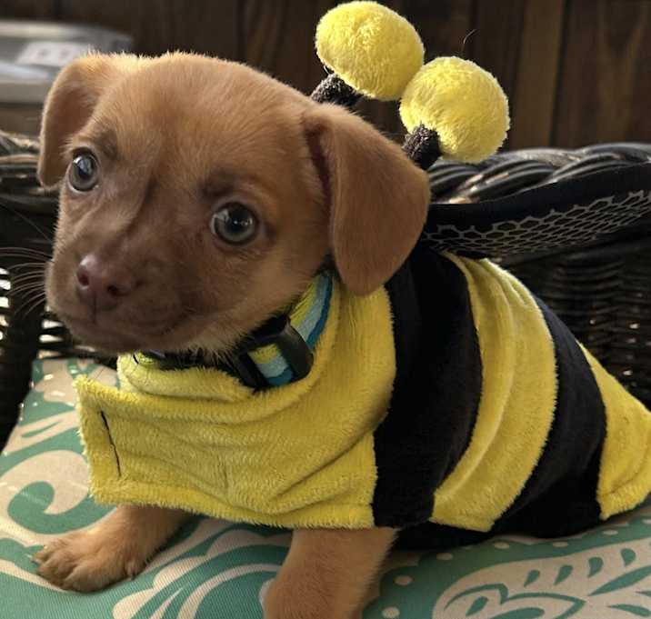 Photo of Baby Mariah