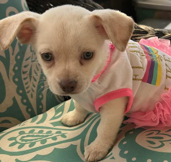 Photo of Baby Celine