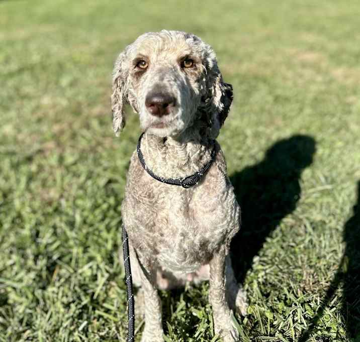 Photo of Pretty Girl