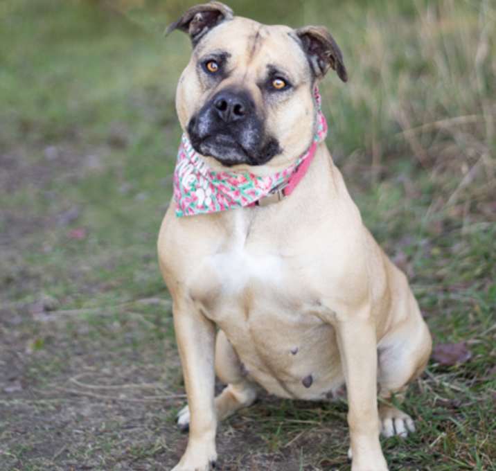 Photo of Virginia - Sponsored Adoption