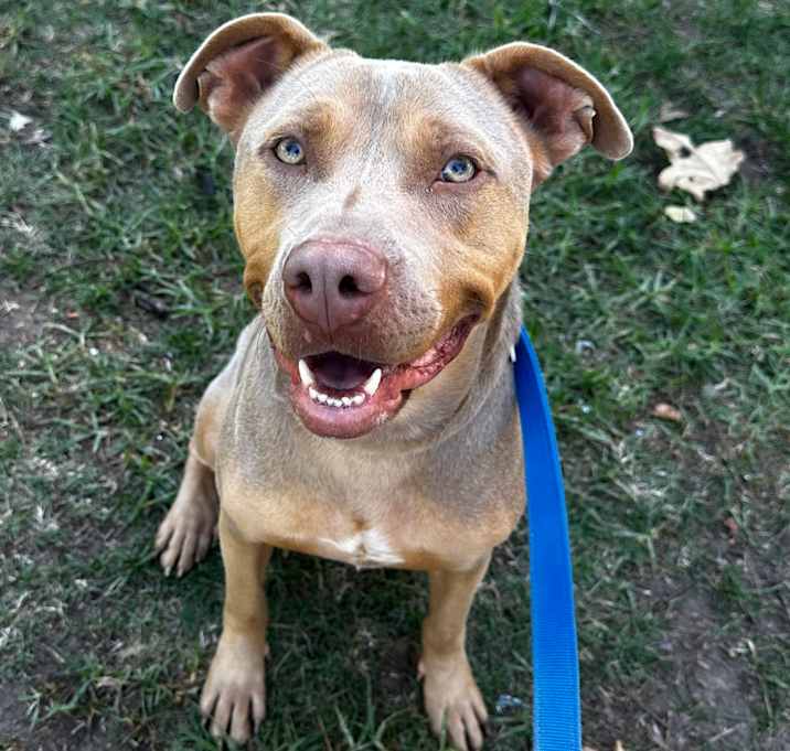 Photo of Liam A2203101