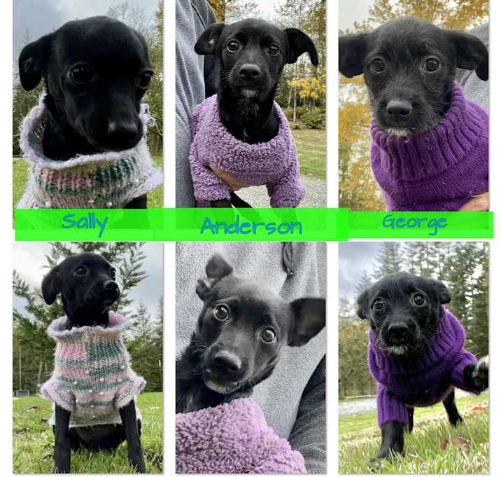 Photo of Sally, Anderson, George