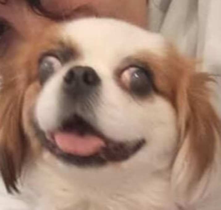 Photo of JELLY (Mid East)/LF