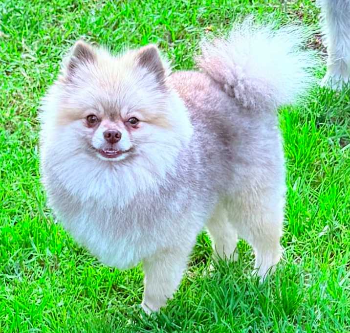 Photo of Charlie Brown