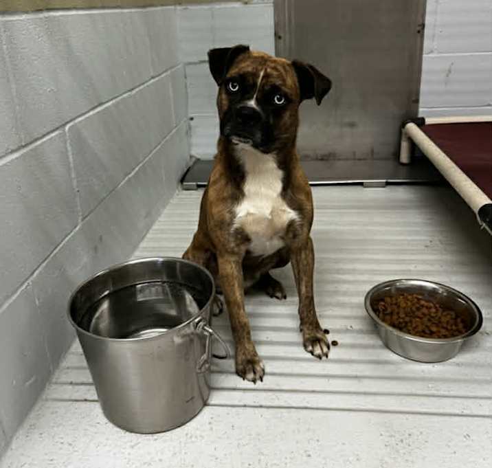 Photo of Yerno 25-10-054