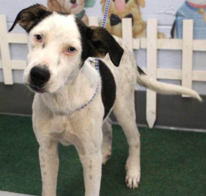 Photo of Baby Felix URGENT PLEASE HELP