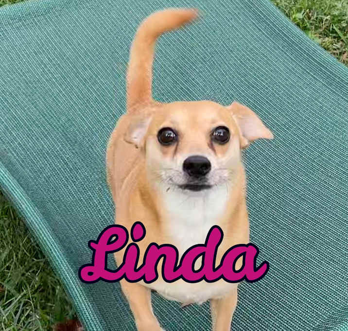 Photo of Linda in Texarkana TX