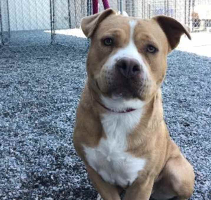 Photo of Chloe FKA Cleo