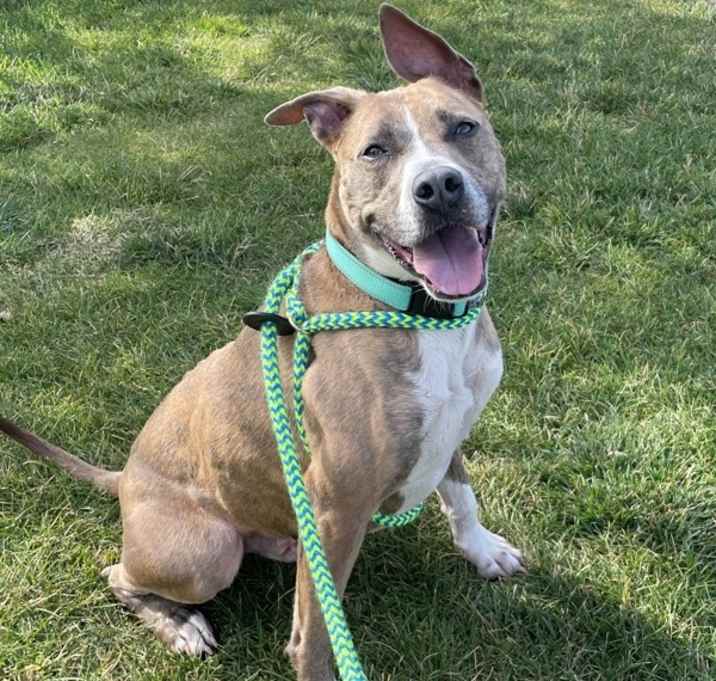 Photo of Chapo Aka Drakko