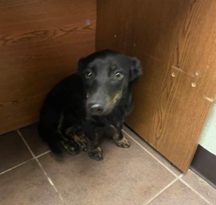 Photo of Dimmy Moore