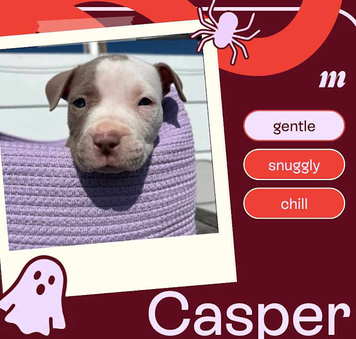 Casper