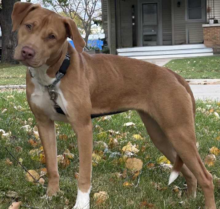 Photo of Tonya Tucker