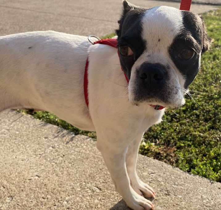 Photo of Trixie Mattel KY 4804