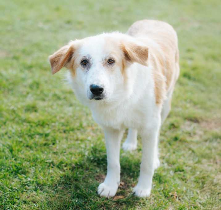 Photo of Golden Nugget