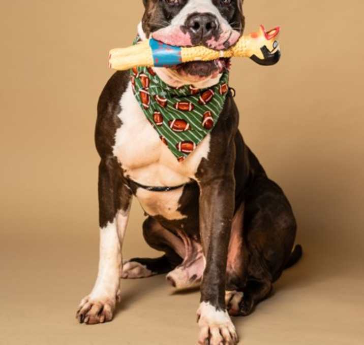 Photo of Rick Sanchez