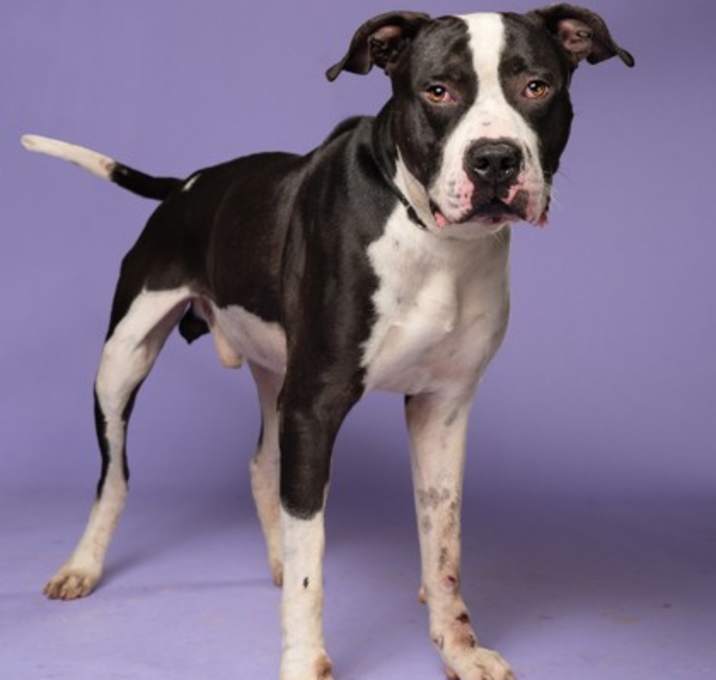 Photo of Prince Tonne