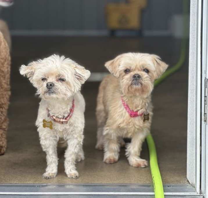 Photo of Sophie & Ashlynn