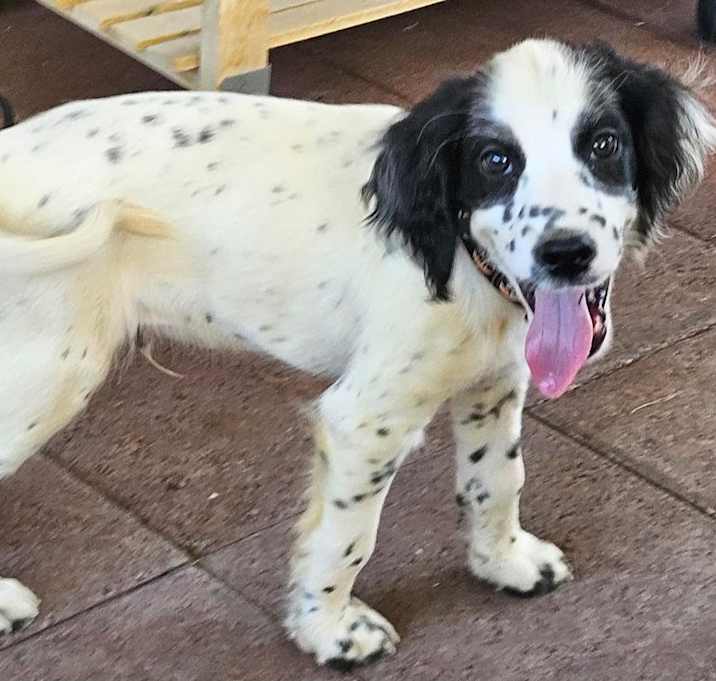 Photo of Sonny & River